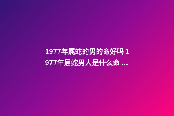 1977年属蛇的男的命好吗 1977年属蛇男人是什么命 77年蛇男的一生命运如何,1977年属蛇人的后半生命运-第1张-观点-玄机派